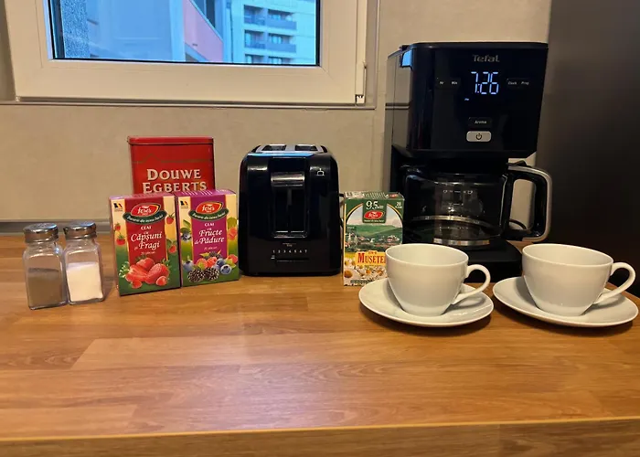 Apartment Fairytale Harmony Spacious & King Beds & Free Parking Timisoara